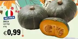 Hurrà Zucca vari tipi offerta