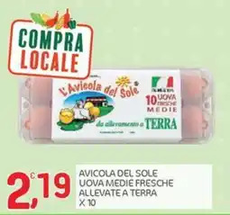 Carni e Affini Supermercati Avicola del Sole uova medie fresche offerta