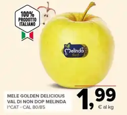 Todis Mele Golden Delicious offerta