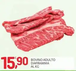 Carni e Affini Supermercati Bovino adulto diaframma offerta