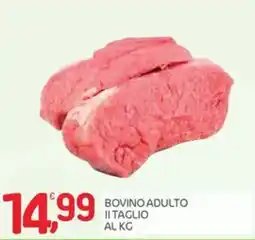 Carni e Affini Supermercati Bovino adulto offerta