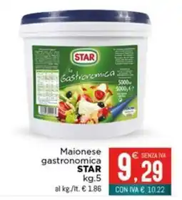 Altasfera Maionese gastronomica STAR offerta