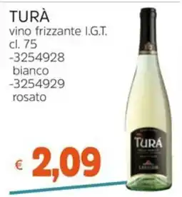 Stop&Shop Turà vino frizzante I.G.T. offerta