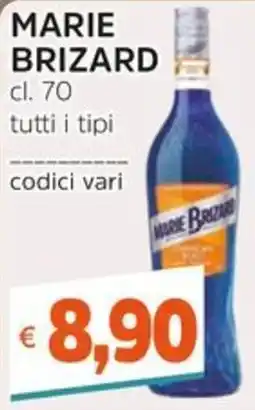 Stop&Shop Marie Brizard offerta