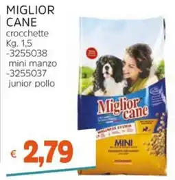 Stop&Shop Miglior cane crocchette mini manzo offerta