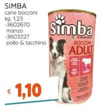 Simba bocconi adult