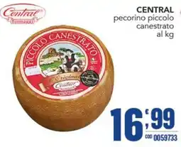 Gruppo di Palo Central pecorino piccolo canestrato offerta