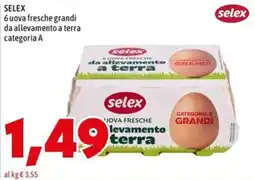 MEGA Uova fresche grandi Selex offerta