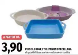 Emi Supermercati Pirole rose e tulipani in porcellana offerta