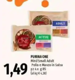 Emi Supermercati Purina One Mini/Small Adult Pollo e Manzo in Salsa offerta