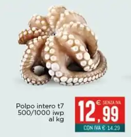 Altasfera Polpo intero t7 offerta