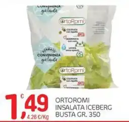 Carni e Affini Supermercati OrtoRomi Insalata Iceberg offerta