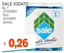 Stop&Shop Sale iodato offerta