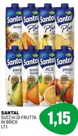 Emporio Amato Santal succhi di frutta in brick offerta