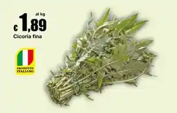 Sì con te Superstore Cicoria fina offerta