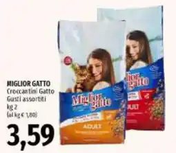 Emi Supermercati Croccantini Gatto offerta