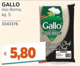 Stop&Shop Gallo riso Roma offerta