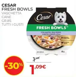 Arcaplanet Cesar Fresh Bowls offerta