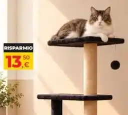 Arcaplanet Gatto su grattacielo offerta