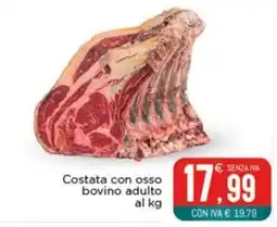 Altasfera Costata con osso bovino adulto offerta