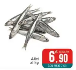 Altasfera Alici offerta