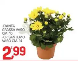 Carni e Affini Supermercati Crisantemo offerta
