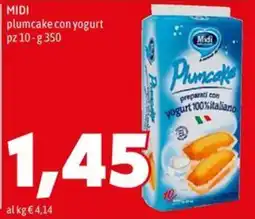 MEGA Midi plumcake offerta