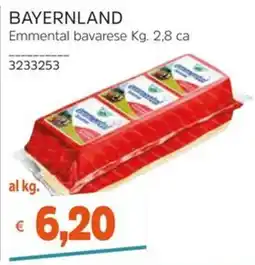 Stop&Shop Emmental bavarese Bayerland offerta