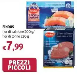 Futura Supermercati Findus fior di salmone offerta