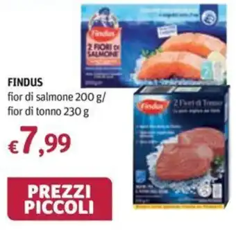 Findus fior di salmone