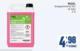 Gruppo di Palo Rigel lavapavimenti fiore di loto offerta