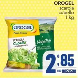 Gruppo di Palo Orogel scarola cubello offerta