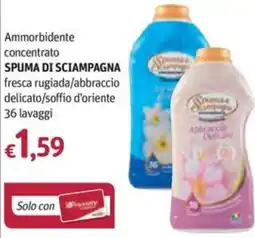 Futura Supermercati Ammorbidente concentrato Spuma di Sciampagna offerta