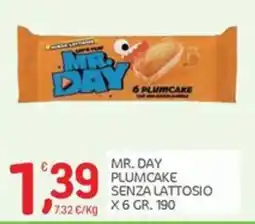 Carni e Affini Supermercati Mr. Day plumcake senza lattosio offerta