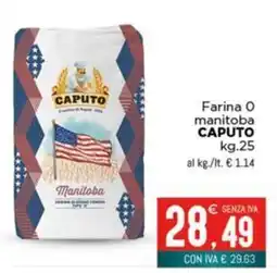 Altasfera Farina 0 manitoba CAPUTO offerta