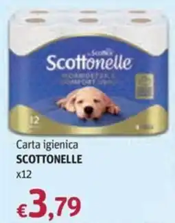 Futura Supermercati Carta igienica Scottonelle offerta