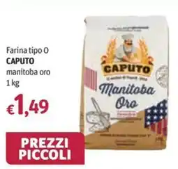 Futura Supermercati Farina tipo 0 CAPUTO manitoba oro offerta