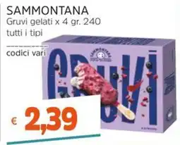 Stop&Shop Gruvi gelati Sammontana offerta