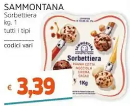 Stop&Shop Sammontana Sorbettiera offerta