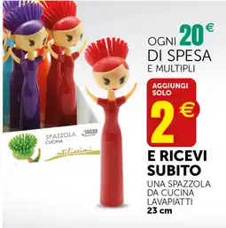 IperSisa Spazzola cucina offerta