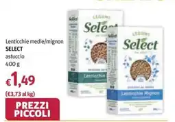Futura Supermercati Lenticchie mignon Select offerta