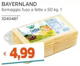 Stop&Shop formaggio fuso a fette offerta