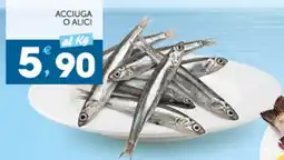 IperSisa Acciuga o alici offerta
