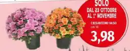Emi Supermercati Crisantemo vaso offerta