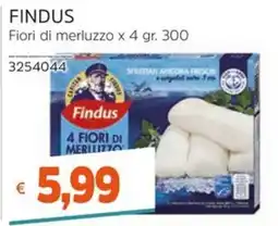 Stop&Shop Findus Fiori di merluzzo offerta