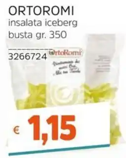 Stop&Shop Insalata iceberg Ortoromi offerta