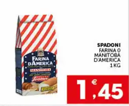 IperSisa Farina d'America Manitoba Spadoni offerta