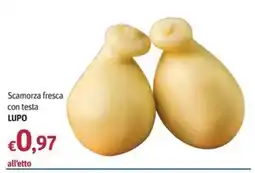 Futura Supermercati Scamorza fresca con testa LUPO offerta
