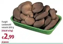 Futura Supermercati Funghi cardoncelli offerta