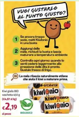 Futura Supermercati Kiwi giallo BIO offerta
